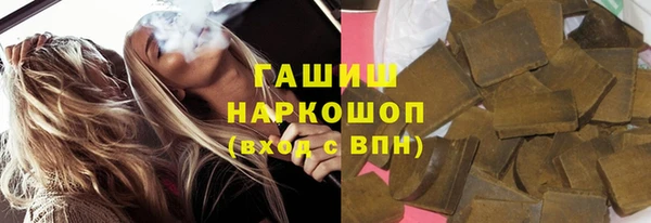 МДПВ Каменка