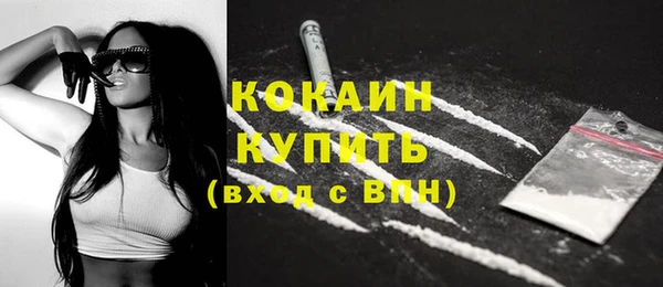 МДПВ Каменка
