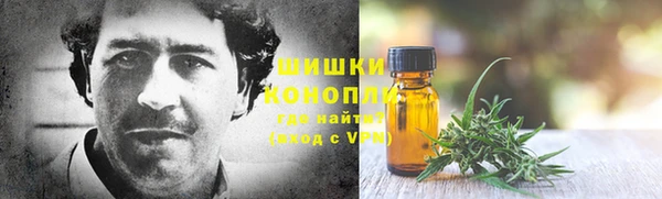 PSILOCYBIN Каменск-Шахтинский