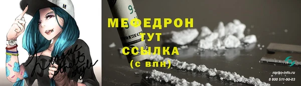 МДПВ Каменка