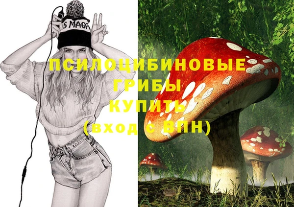 мдма Каменногорск