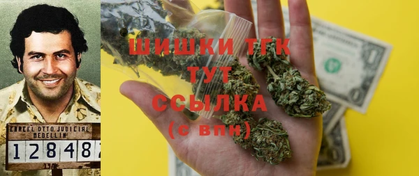 МДПВ Каменка