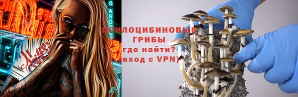 PSILOCYBIN Каменск-Шахтинский